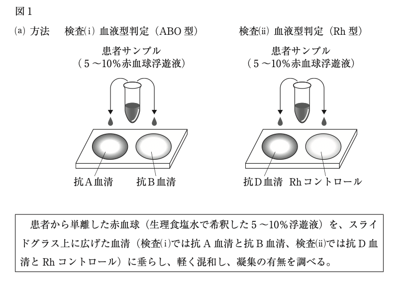 解説画像